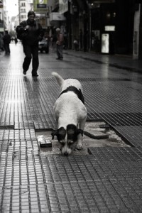 「雨上がりのLavalle通り」　Buenos Aires, 2006